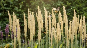 Au jardin, cette plante très facile d’entretien attire les oiseaux chez vous plus vite qu’on ne pense