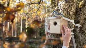 Où installer les nichoirs au jardin pour attirer mésanges, rouges-gorges et autres oiseaux ?
