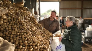 Pas-de-Calais : au lieu de les jeter, un agriculteur offre gratuitement ses pommes de terre invendues