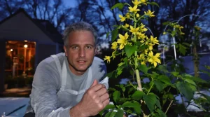 Vos tomates fleurissent déjà en avril ? Ne touchez surtout pas à ces premières fleurs, voici pourquoi